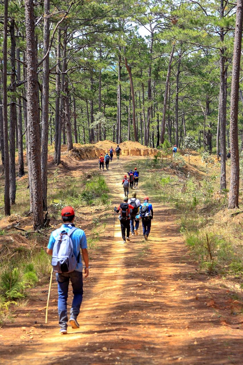 Team collaborating on travel safety projects