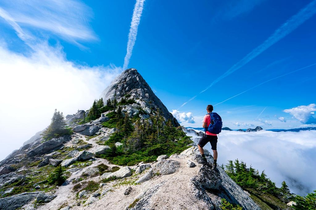 Hiking trail through forest with sunlight