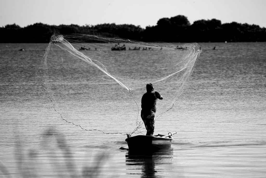 Mesh network communication illustration